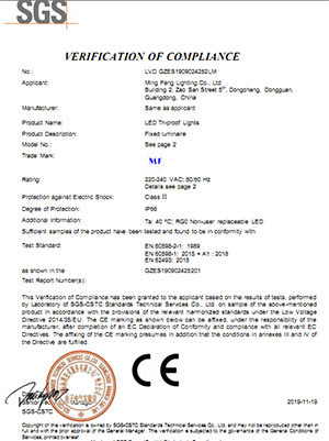 Verificación CE-LVD GZES1909024252LM CE
