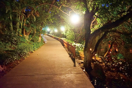 Soluciones de iluminación LED para jardines y parques