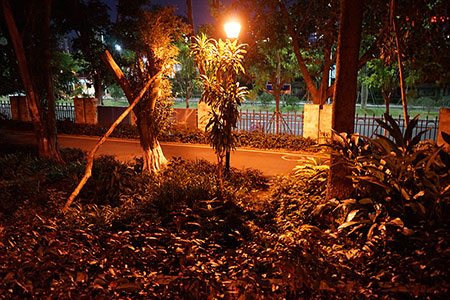 Soluciones de iluminación LED para jardines y parques