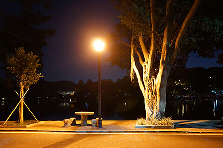 Soluciones de iluminación LED para jardines y parques