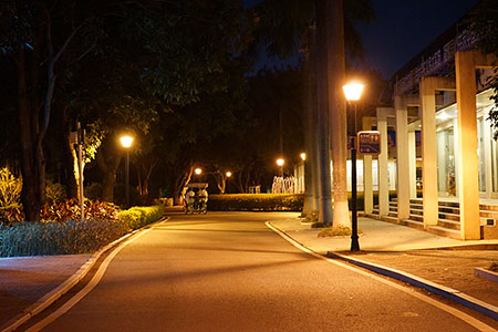  Luces LED para jardín 